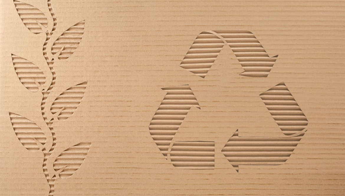 Eco-Friendly Recycled Cardboard. What Is It? Eco-Friendly Recycled Cardboard. What Is It?